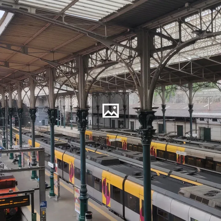 Trains at Porto São Bento Station