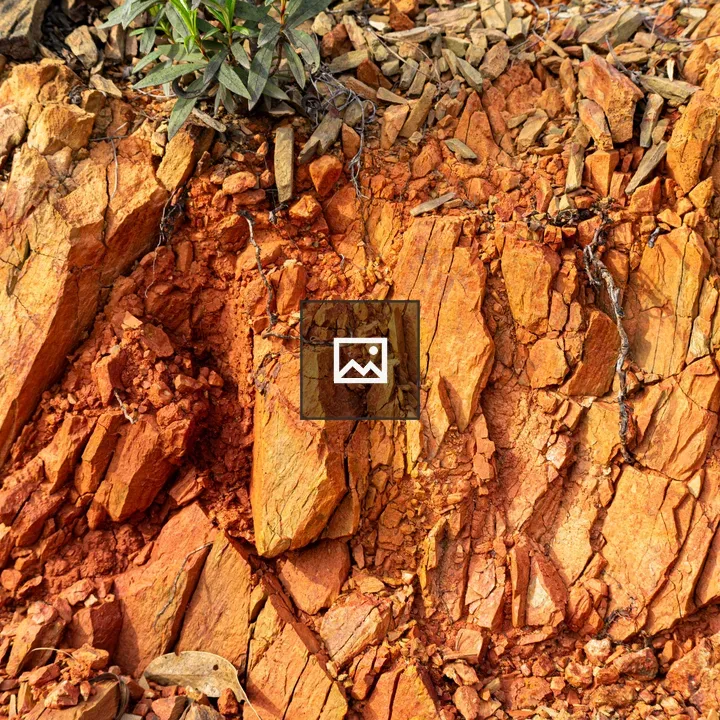 Cracked orange-brown rock with plant