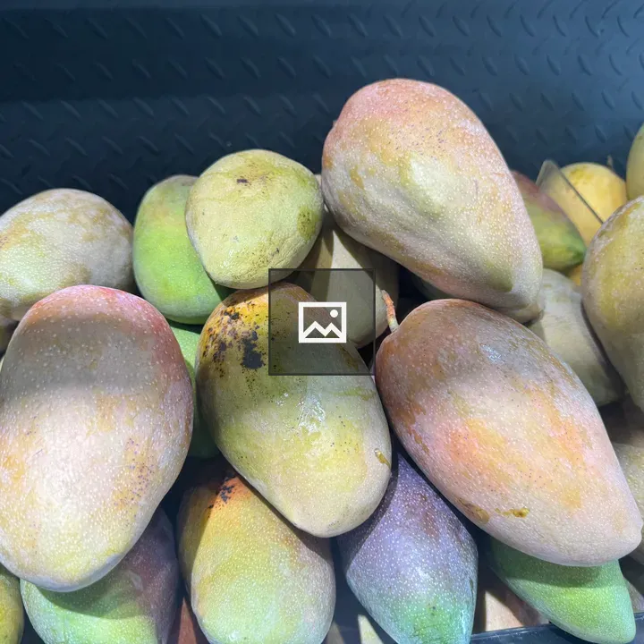 Pile of ripe mangoes