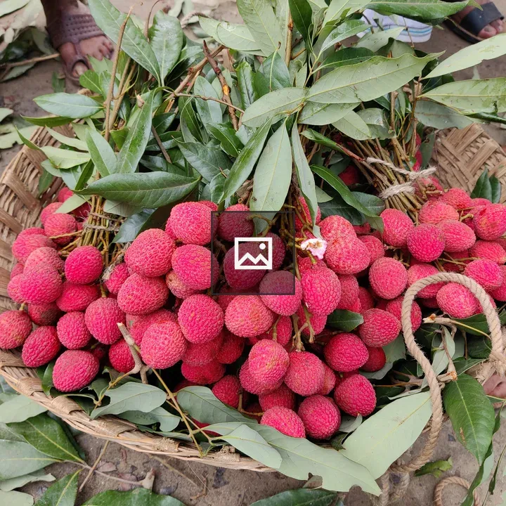Fruit on the Ground