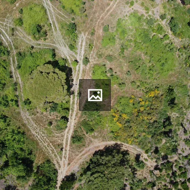 Aerial view of rural paths