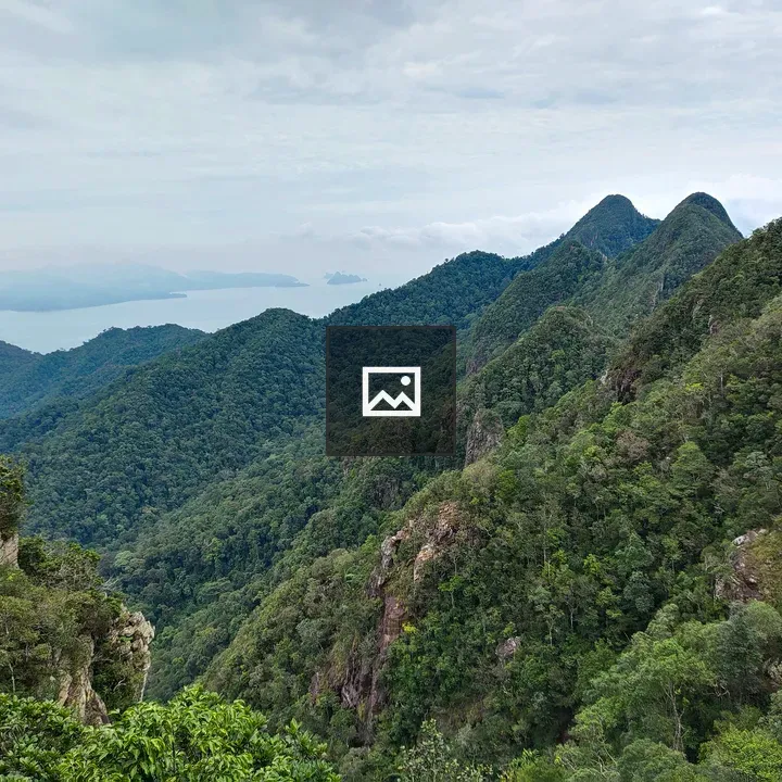 Mountain range with trees