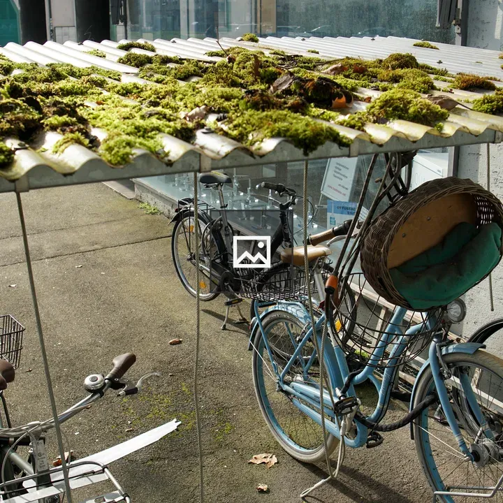 Covered bike rack with mossed roof