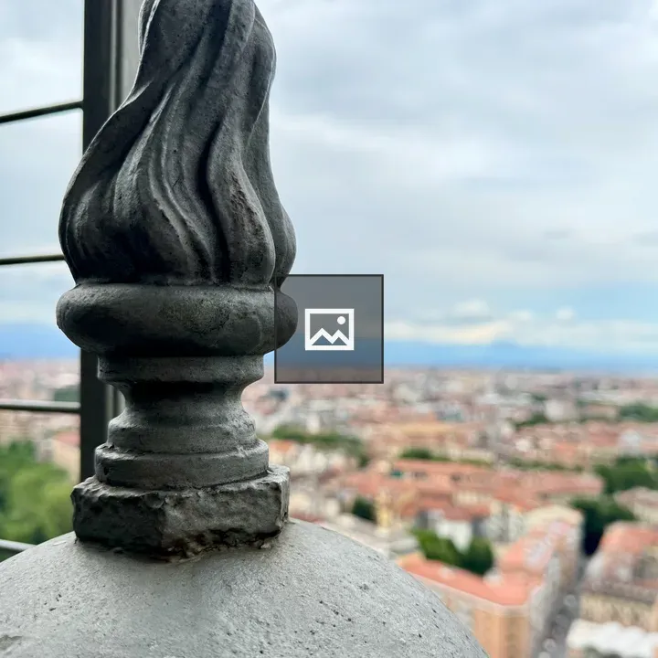 Finial atop Mole Antonelliana