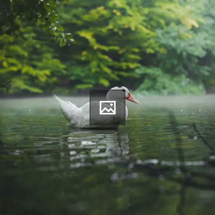 Nature bird on grass by lake