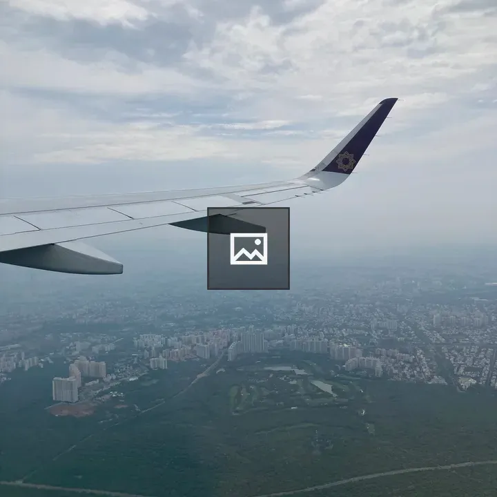 City View from Plane Wing
