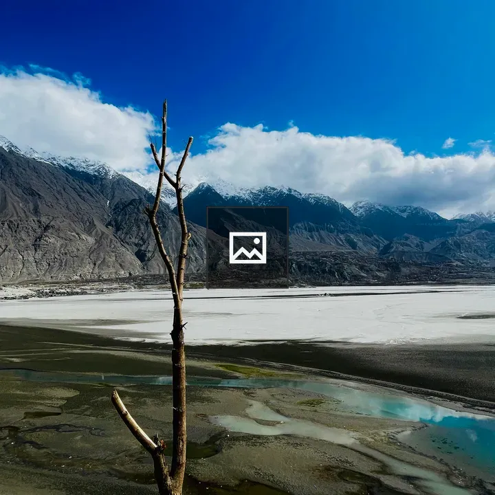 Leafless Tree in Wide Landscape