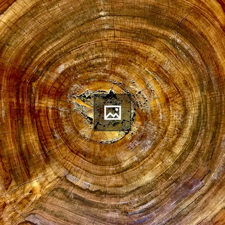 Patterns in wood