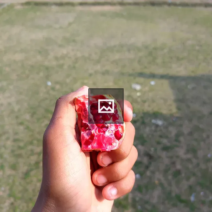 Pomegranate Half Portrait