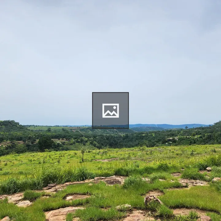 Green Grassland Landscape