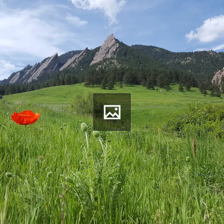 Flatirons from a Field View
