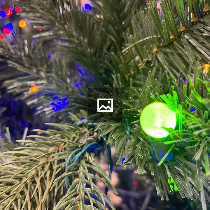 Christmas lights and branches