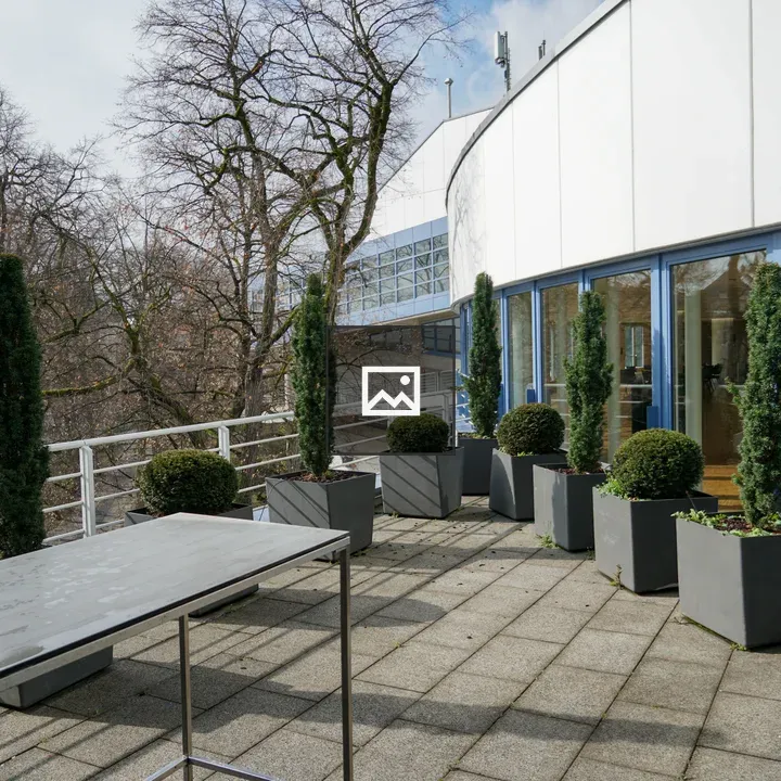 Rooftop terrace with potted plants