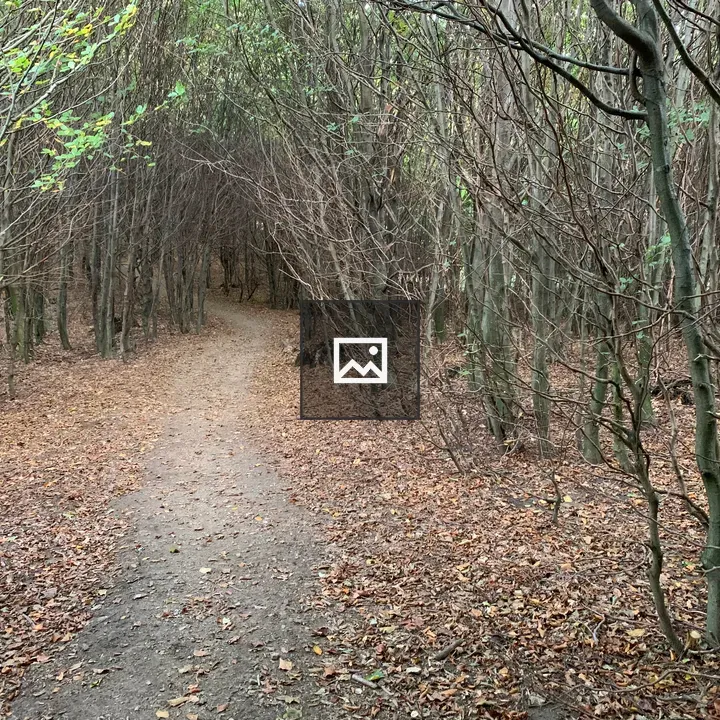 Little Carpathians autumn trail