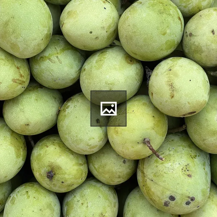 Close-up Mangoes Piled Green