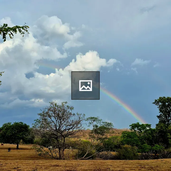 Rainbow over grassland landscape