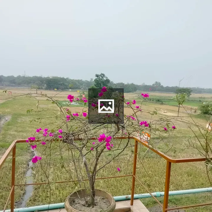 Bougainvillea by the railing