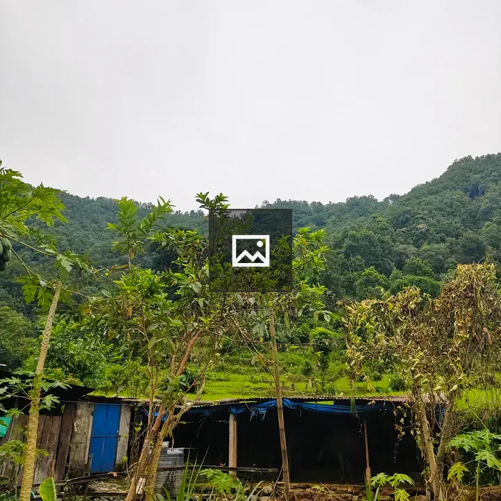 Rural Wood and Thatch Structure