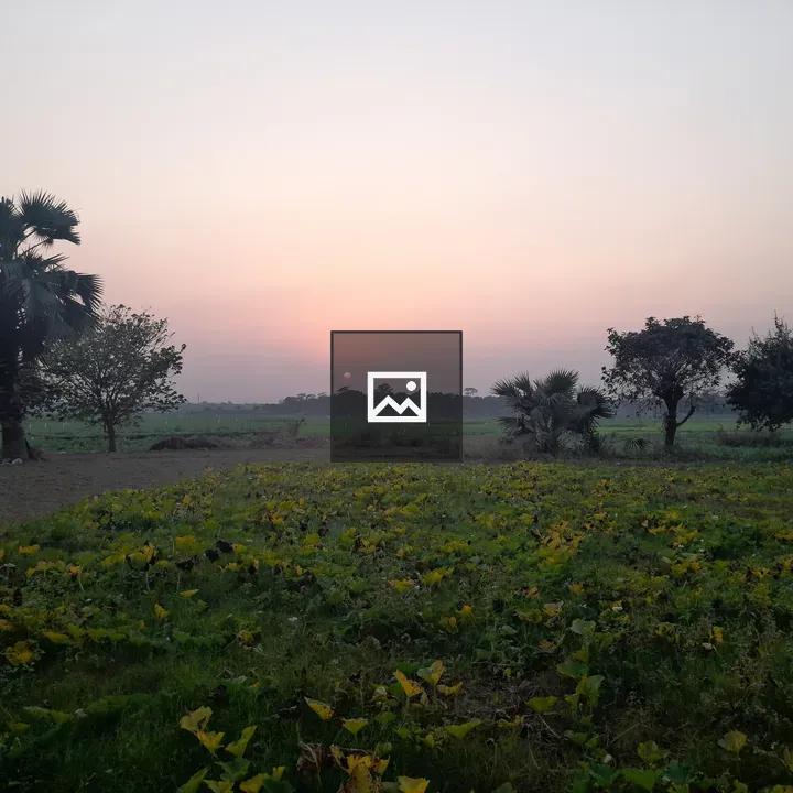Countryside sunset field view
