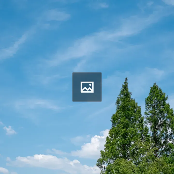 Evergreen Trees Under Clear Sky
