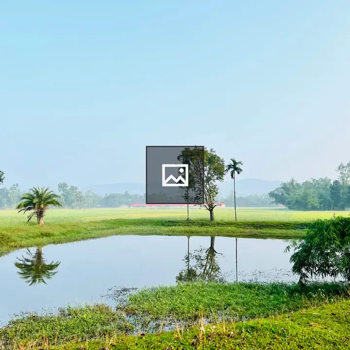 Pond in grassy field with trees