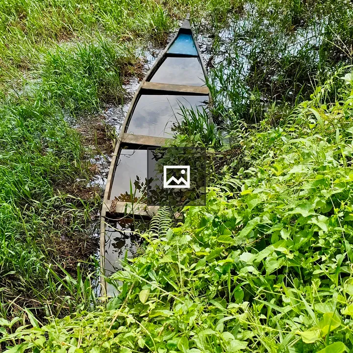 Lonely Boat in Swamp Grass