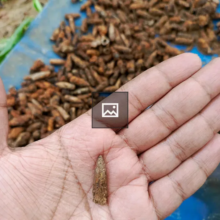 Hand holding rusted bullet
