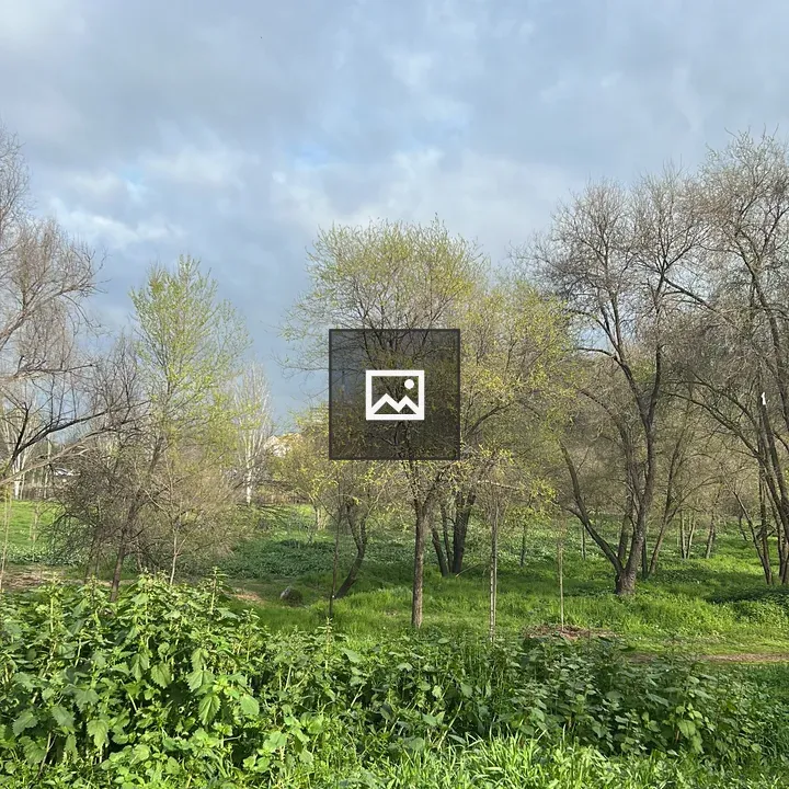 Serene landscape with green fields