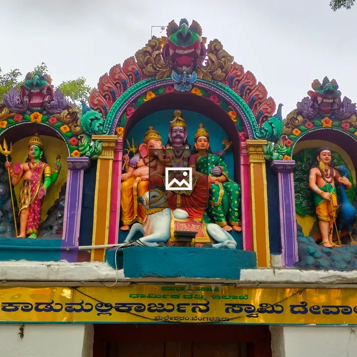 Graceful deity sculpture at temple entrance