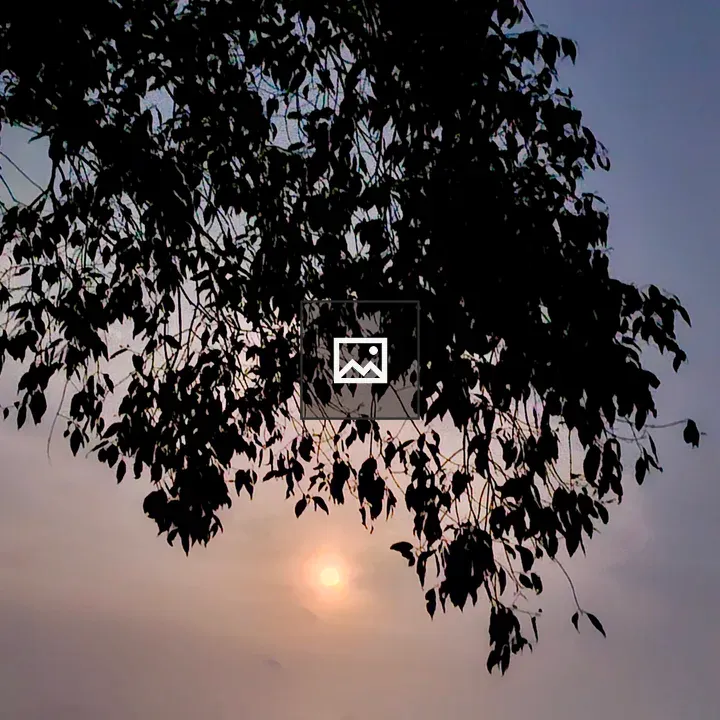 Moonlit Leaves Evening Scene