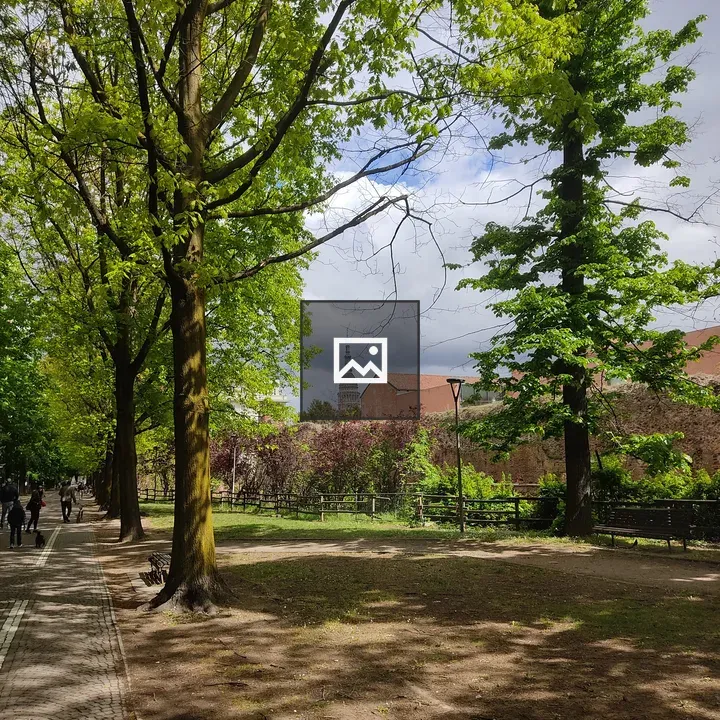 Novara Cityscape with Trees