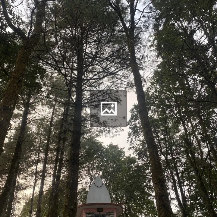 Pink temple in dense forest