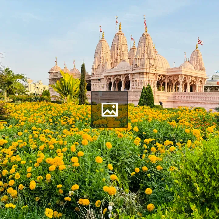Temple field with yellow flowers