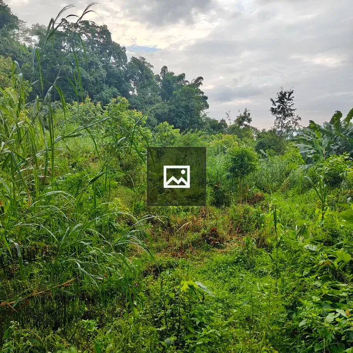 Green Landscape with Vegetation