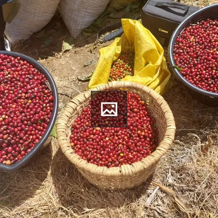 Café de Costa Rica