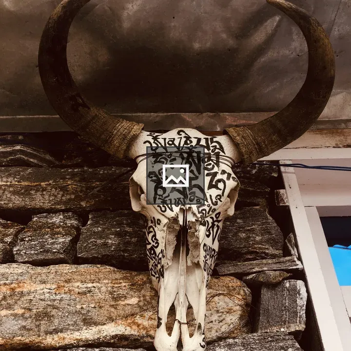 Skull with Horns Mounted on Stone Wall