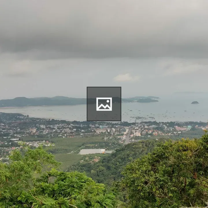 View of Phuket Town