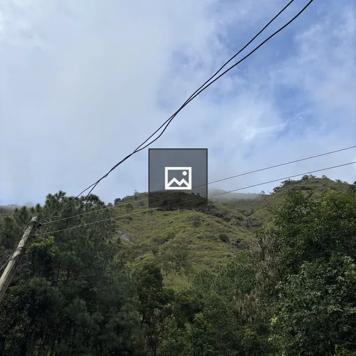 Foggy Green hillside landscape