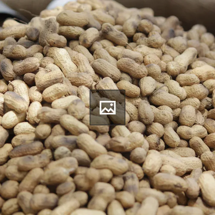 Mound of peanuts in the shell