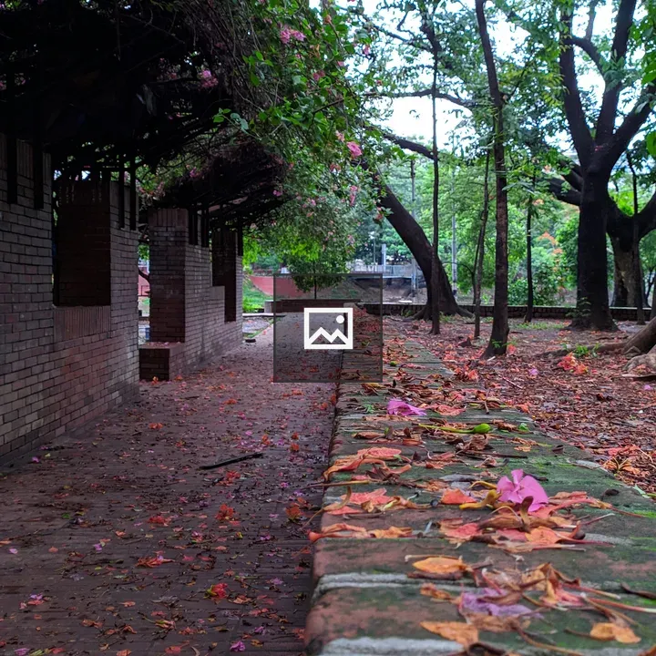 Brick wall with fallen leaves