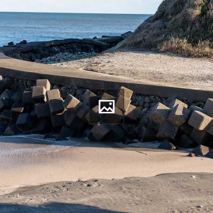 Tetrapods on Beach