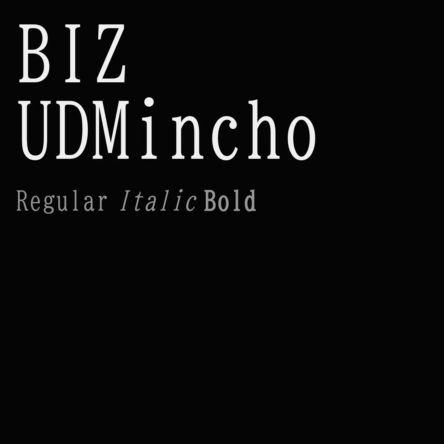 BIZ UDMincho