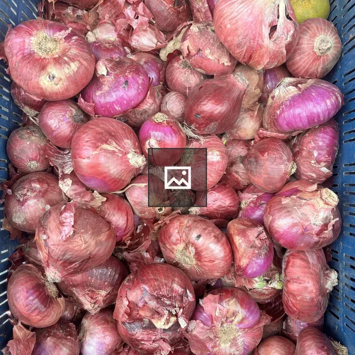 Basket of Red Onions