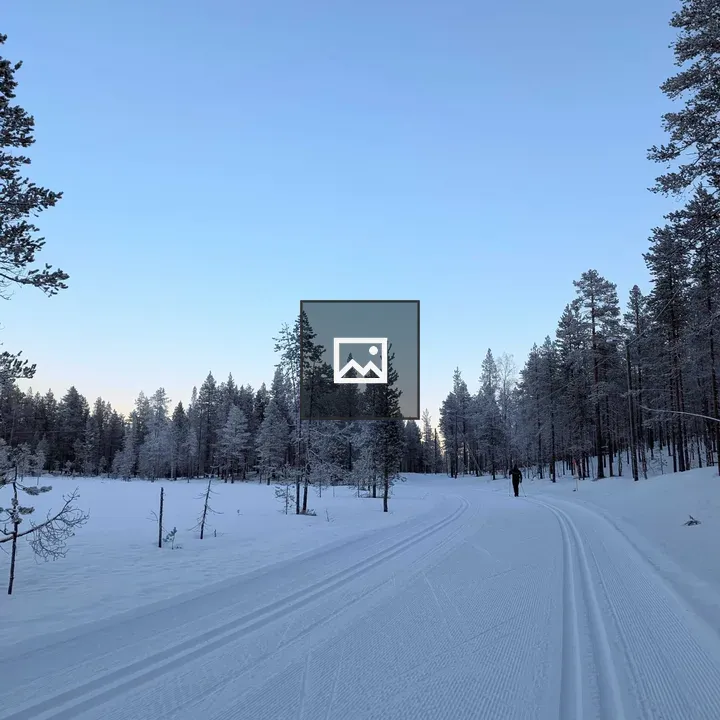 Skier in snowy forest