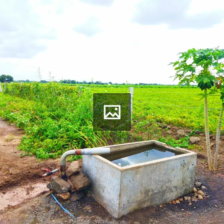 Green farmland with water tank and crops