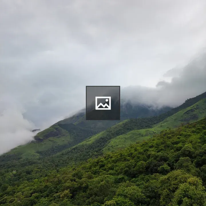 Enchanted Hills of Wayanad
