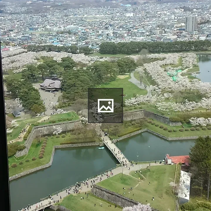 Goryokaku Fort and Star Fort Landscape