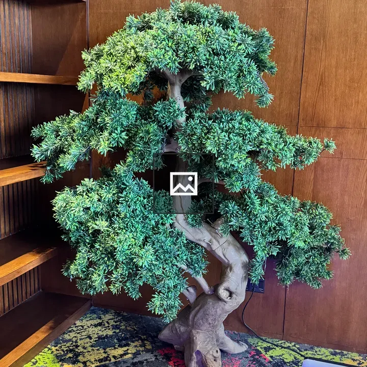 Bonsai-style Tree in Wood Room