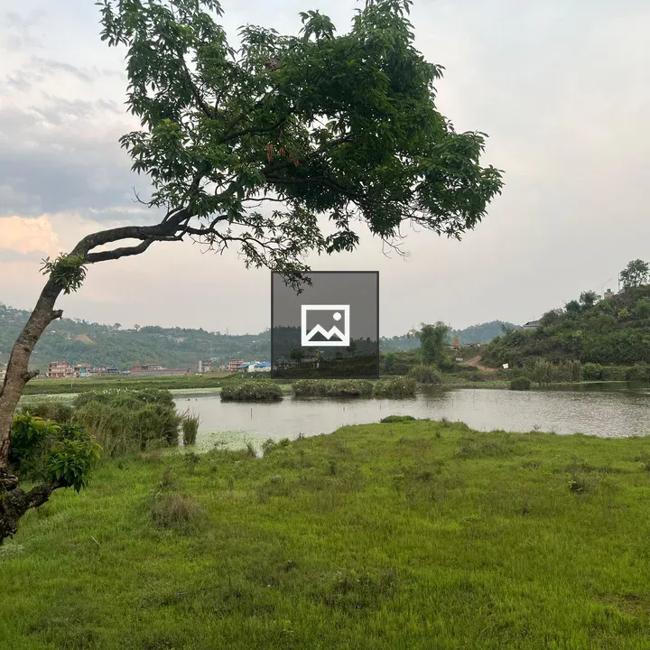 Lush green landscape with lake