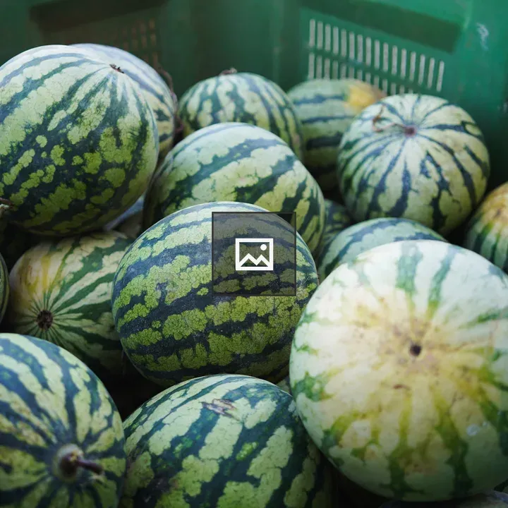 Crate of green watermelons